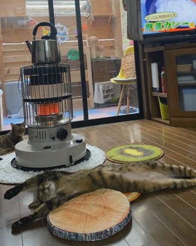 のびのびバンくん