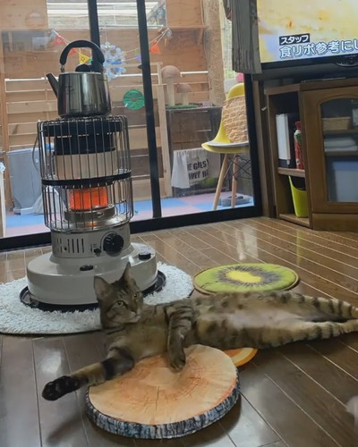 のびのびバンくん