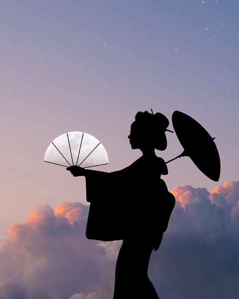 シルエットを重ねた幻想的な写真