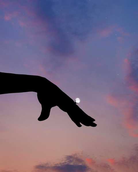 シルエットを重ねた幻想的な写真