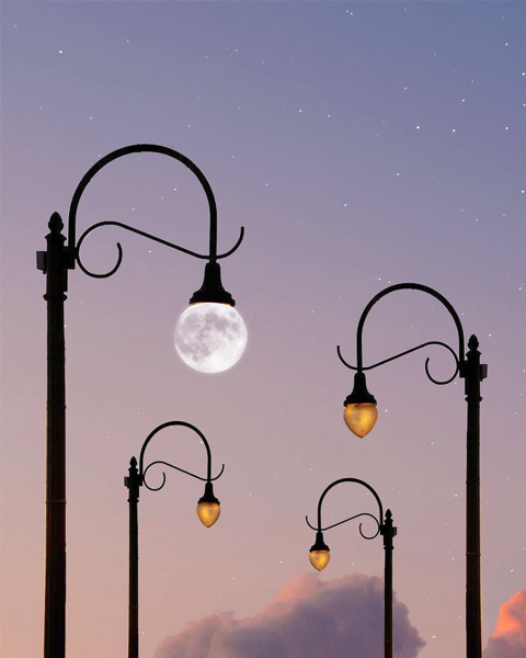 シルエットを重ねた幻想的な写真