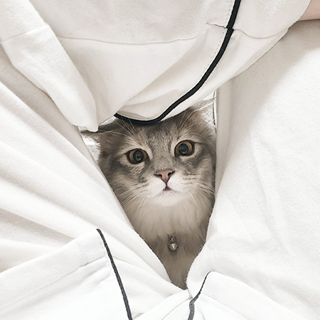 のぞき込むナズナちゃん