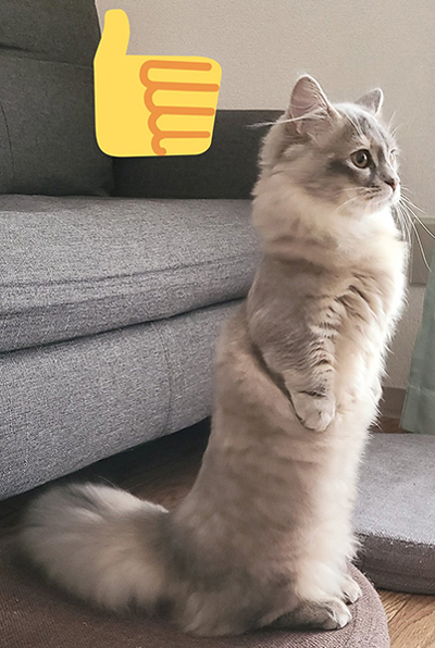 オオタチナズナちゃんアップ