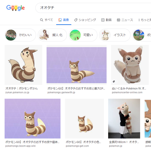 オオタチ検索結果