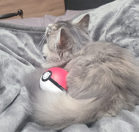 モンスターボールとナズナちゃん