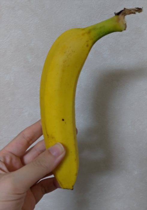 年末 年始 おせち 年越しそば