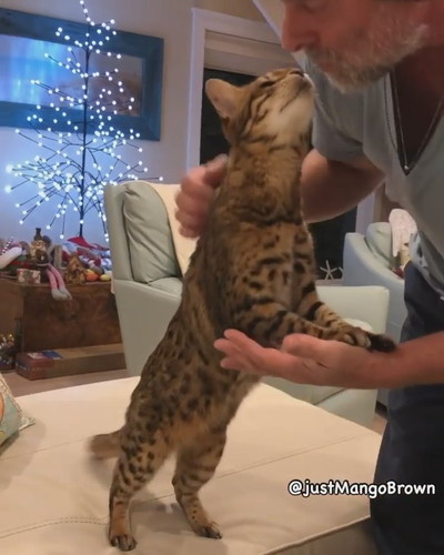 ラブラブなふたり