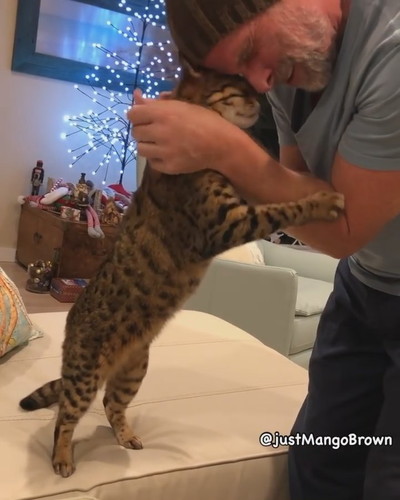 ラブラブなふたり