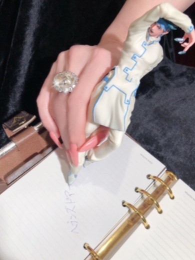 叶姉妹 叶恭子 叶美香 ジョジョの奇妙な冒険 ダイヤモンドは砕けない 岸辺露伴 NHK