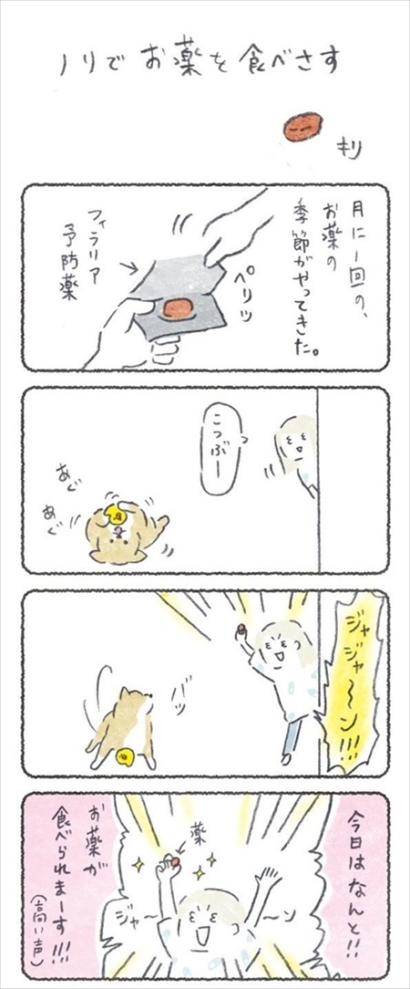 ノリで薬を食べるワンちゃん