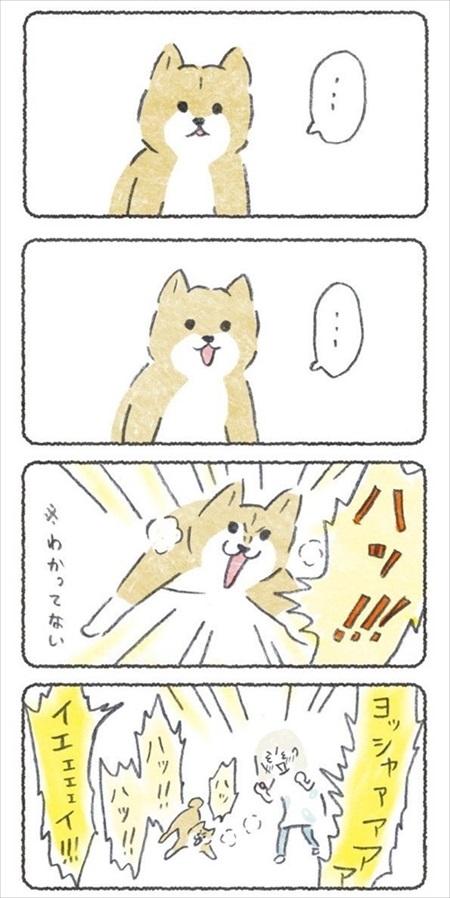 ノリで薬を食べるワンちゃん