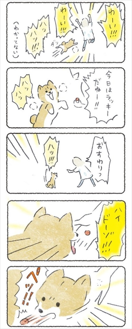 ノリで薬を食べるワンちゃん