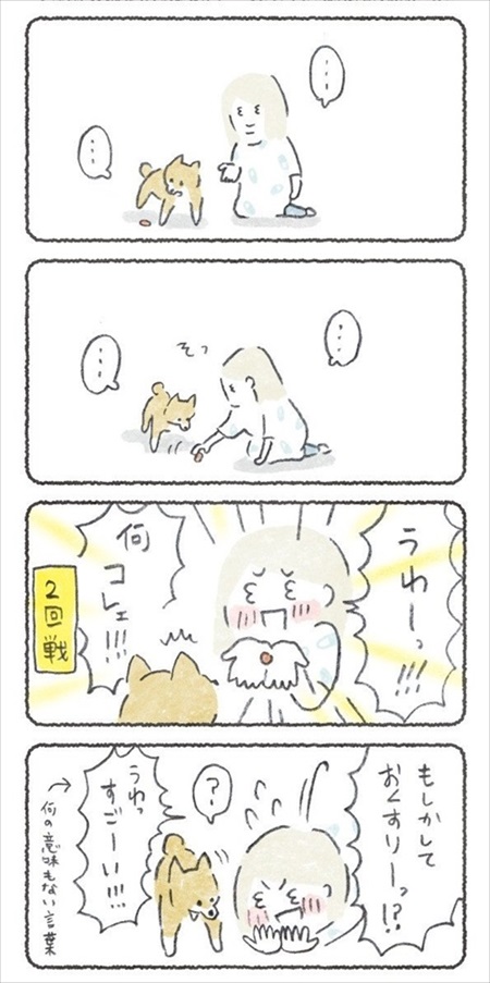 ノリで薬を食べるワンちゃん