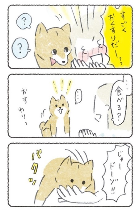 ノリで薬を食べるワンちゃん