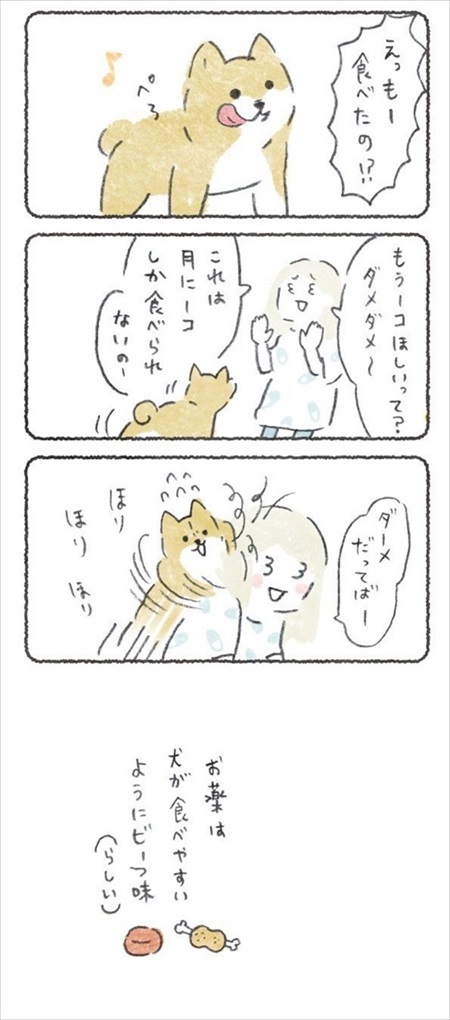ノリで薬を食べるワンちゃん