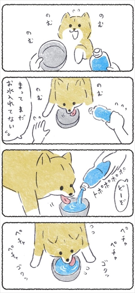 ノリで薬を食べるワンちゃん