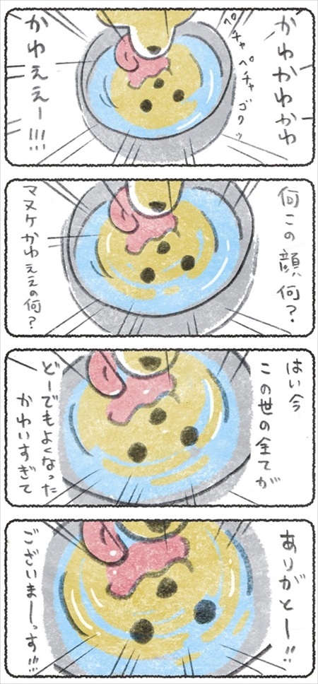 ノリで薬を食べるワンちゃん