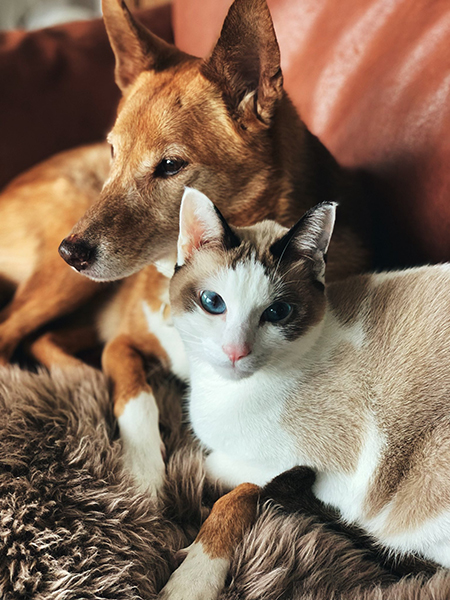 仲良しミヤハクさん