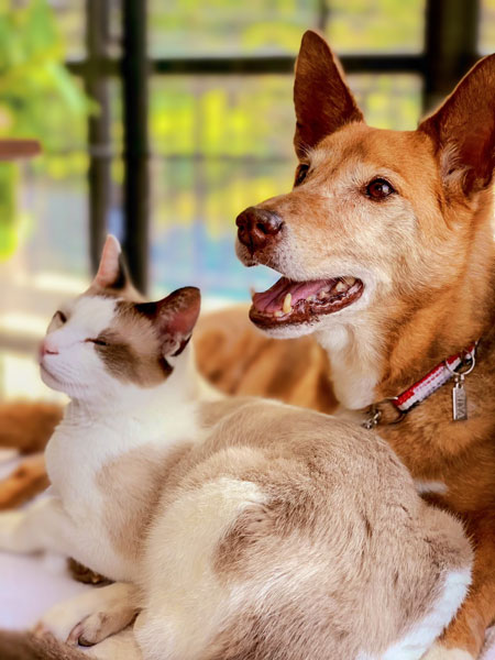 すてきな笑顔の宮田さんと目つぶり白秋さん