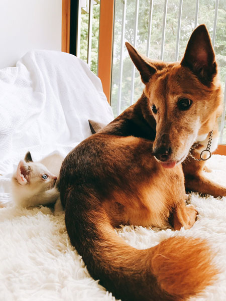 ちび白州さんと宮田さん