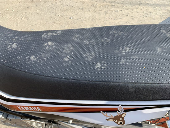 車上荒らしの図