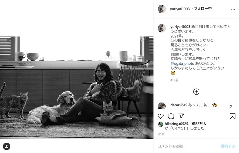 石田ゆり子 猫 犬