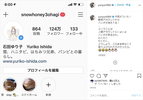 石田ゆり子 Instagram 認証バッジ 偽アカウント