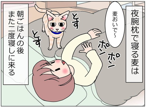 「1285話 朝からびっくり」