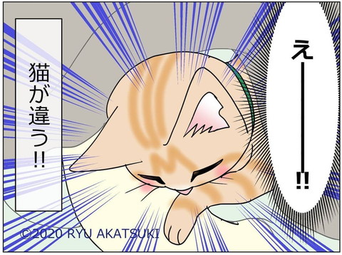 「1285話 朝からびっくり」