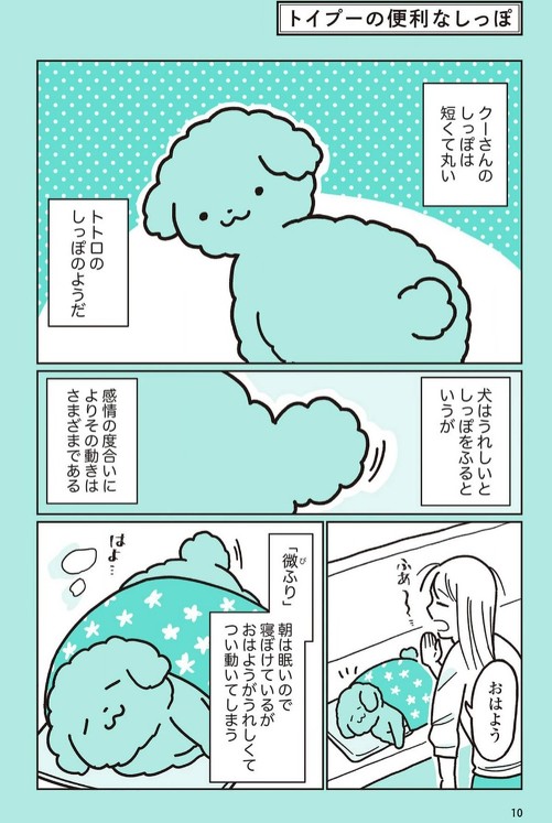 うちのトイプーがアイドルすぎる