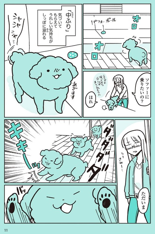 うちのトイプーがアイドルすぎる