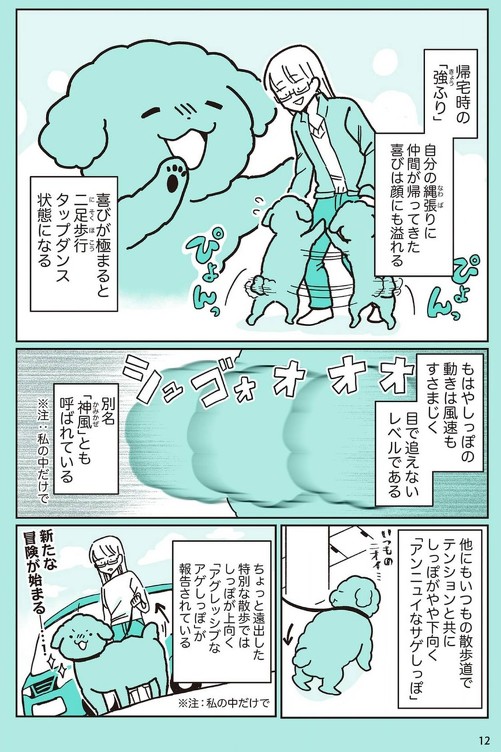 うちのトイプーがアイドルすぎる