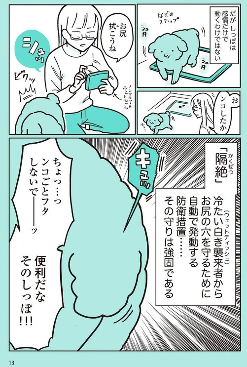 うちのトイプーがアイドルすぎる