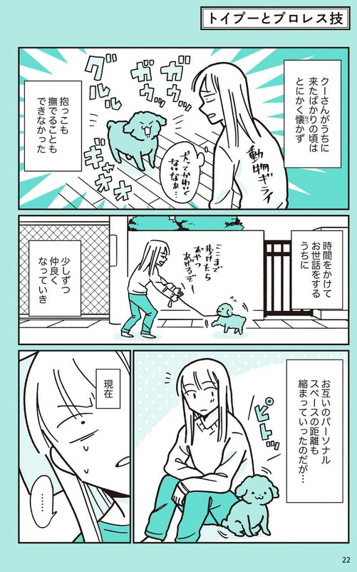 うちのトイプーがアイドルすぎる