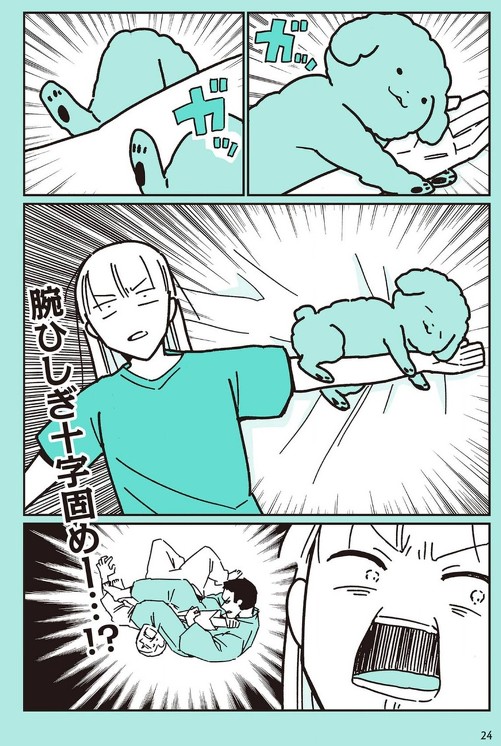 うちのトイプーがアイドルすぎる