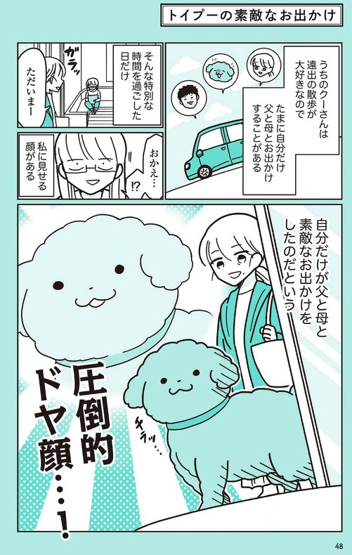 うちのトイプーがアイドルすぎる