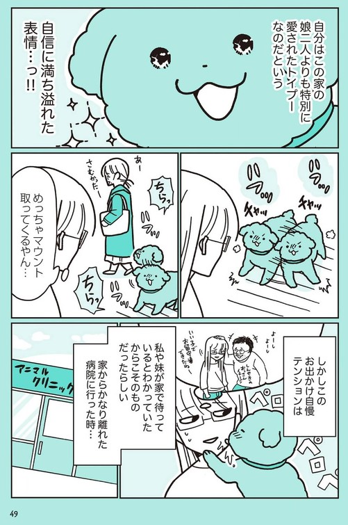 うちのトイプーがアイドルすぎる