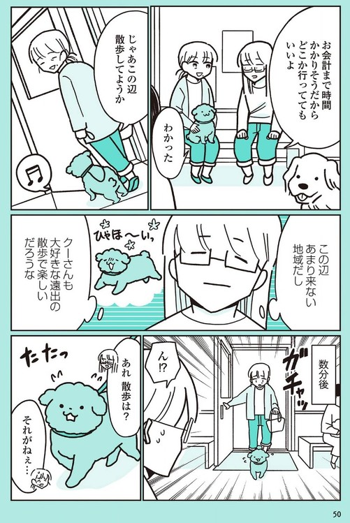 うちのトイプーがアイドルすぎる