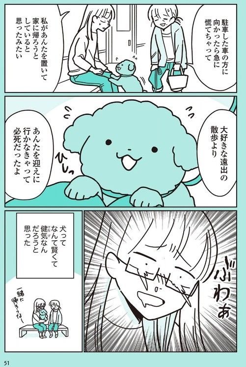 うちのトイプーがアイドルすぎる