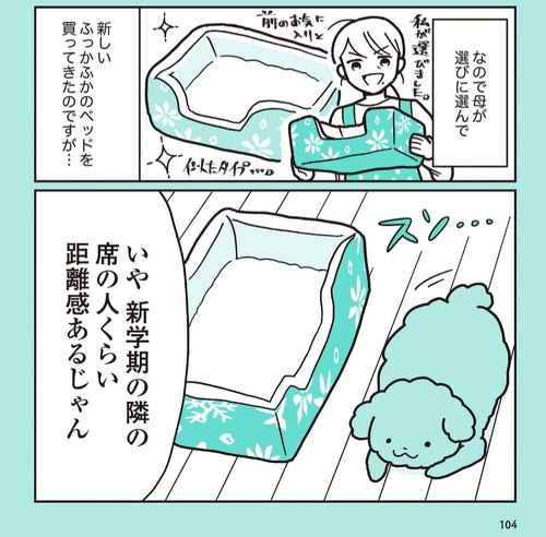 うちのトイプーがアイドルすぎる