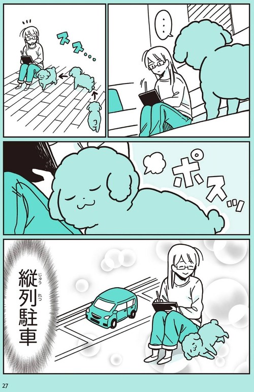 うちのトイプーがアイドルすぎる