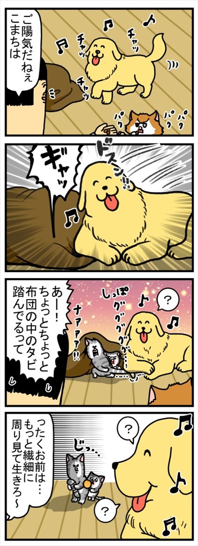 自分の痛みにだけ敏感なワンちゃん