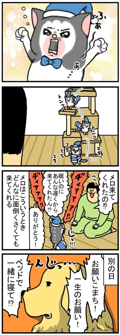 自分の痛みにだけ敏感なワンちゃん