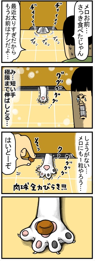 自分の痛みにだけ敏感なワンちゃん