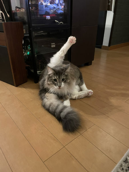 知恵の輪レイくん