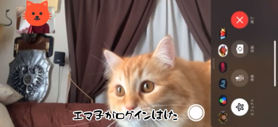 エマちゃんログイン