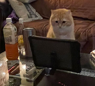 タブレットをのぞくエマちゃんアップ