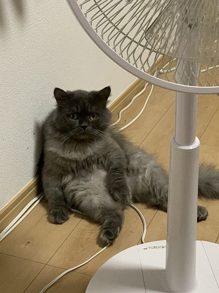 ちゃこべぇさん