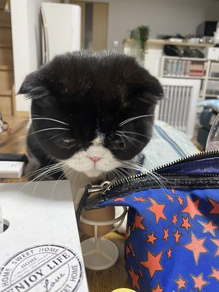 しゅんとする八べぇさん