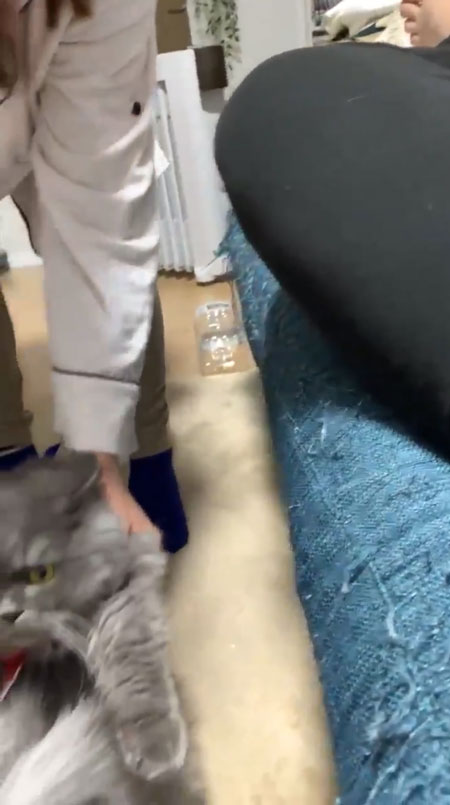 引きずられるちゃこべぇさん1